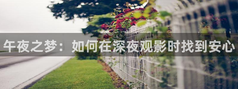精东影业电视免费观看