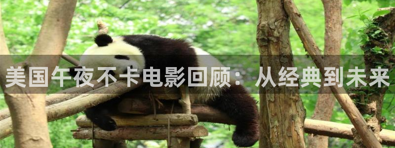 精东影业电视剧免费观看