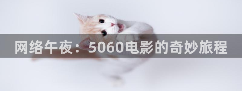 精东影业免费观看电影大全视频高清版
