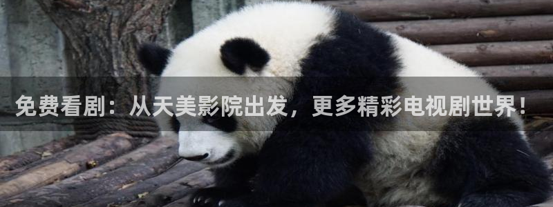 精东影业旧版本入口