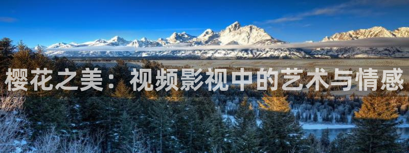 星空无痕mv免费观看高清