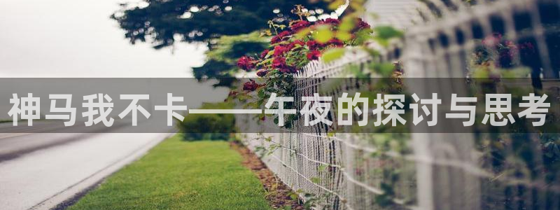 斛珠夫人电视剧精东影业