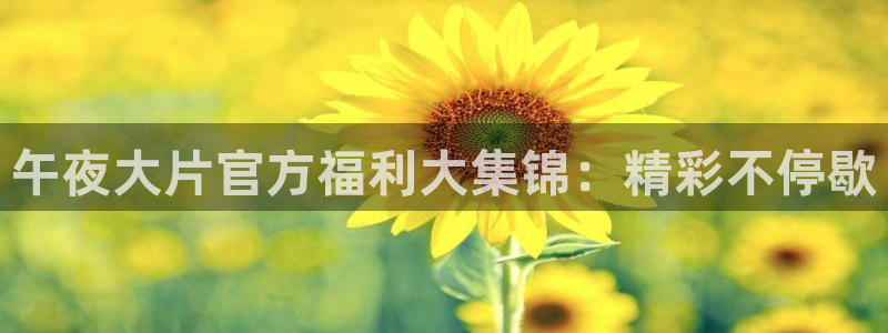 光影精东影业