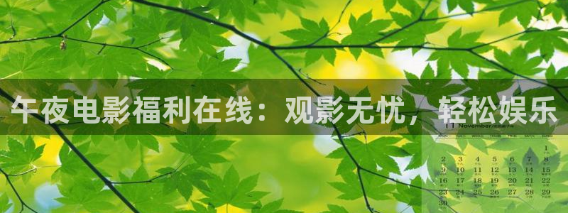 精东影业云飞跃