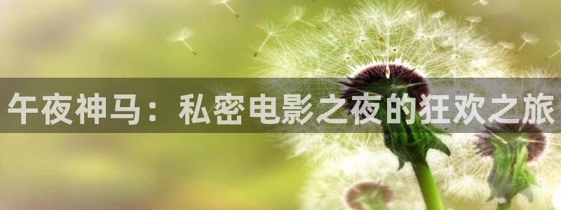 星空视频电影在线看免费观看