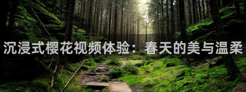 星空电影正片