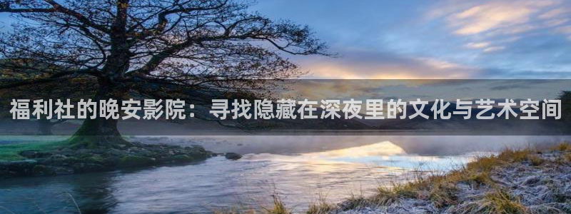 星空视频影视大全免费观看在线
