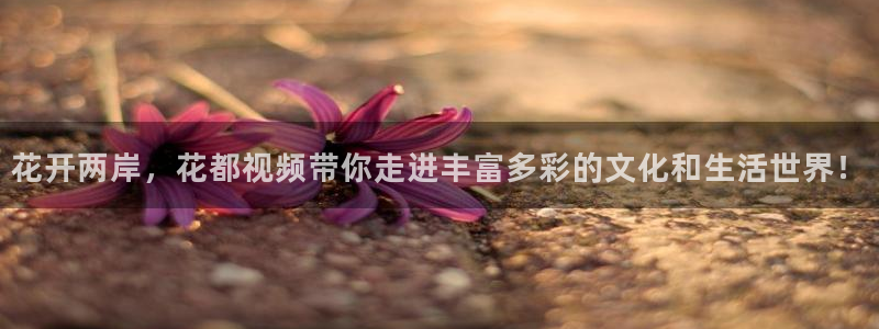 星空传媒在线播放