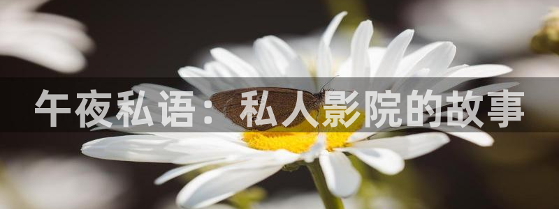 星空影视在线完整免费观看