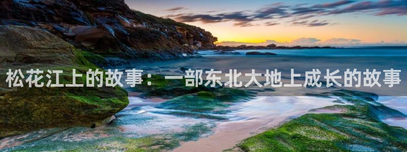 星空视频影视大全免费