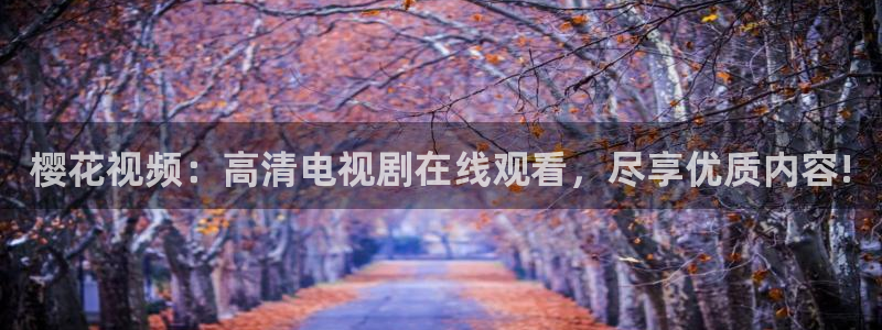 星空 电影 在线观看