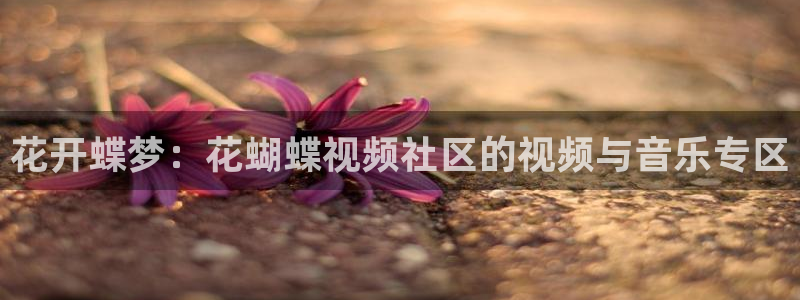 星空电影高清完整版免费观看