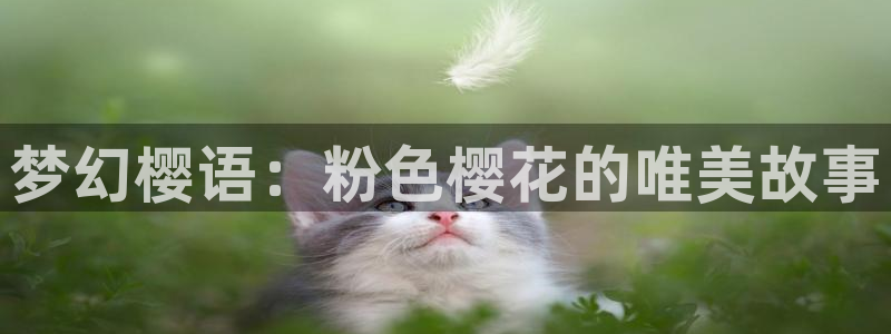 星空影视精东影业