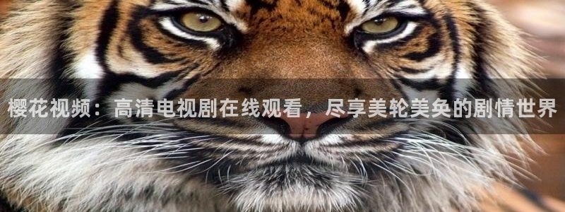 精东影业64