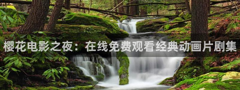 星空播剧