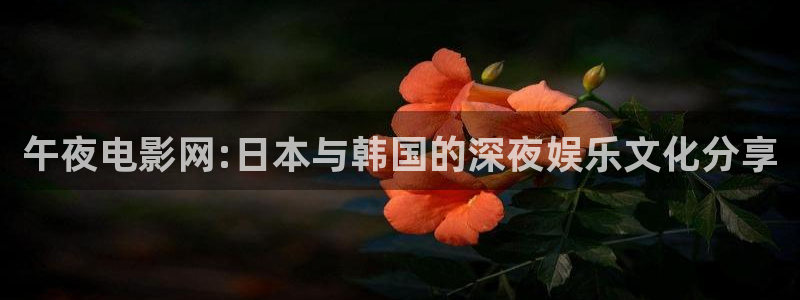 星空传媒免费观看电影