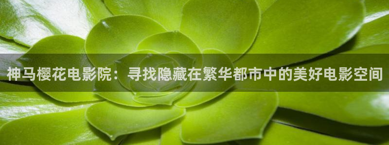 浩瀚星空电影免费观看