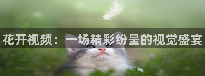 精东影业电视剧免费观看